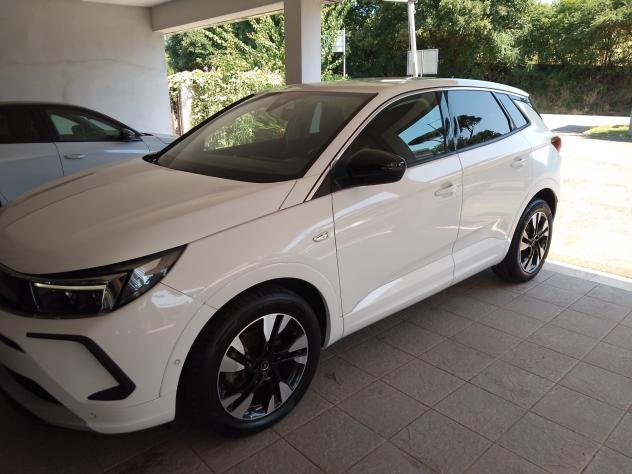 OPEL Grandland 1ª serie Grandland 1.5 diesel Ecotec aut. Business Elegance - Foto 3
