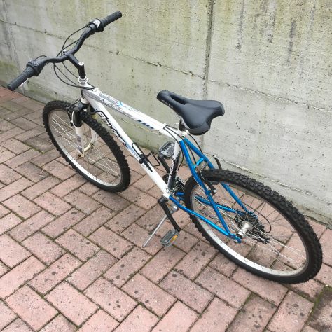 Bicicletta mountain bike MTB ARLONE Xscale bianca e blu - Foto 5