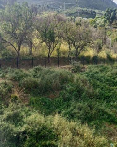 Immobile in asta di 2788 m² in vendita a Sant'Agata di Militello - Foto 4