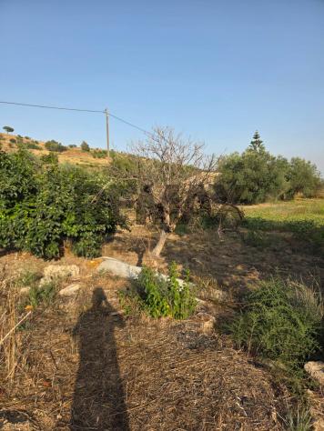 Terreno in vendita a Caltagirone