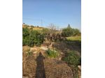 Terreno in vendita a Caltagirone