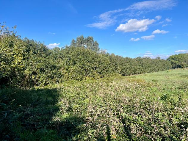 Agricolo in Via Isillo - Foto 2
