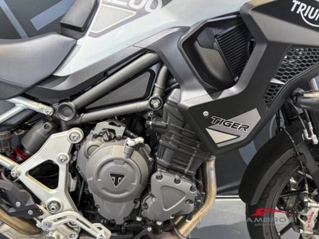 TRIUMPH Tiger GT PRO rif. 23849566 - Foto 4