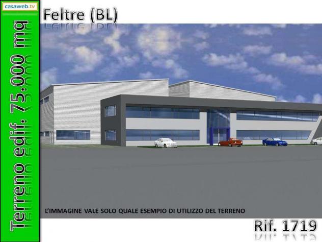 1719 - Terreno Edif. 75.000 mq a Feltre (BL) Rif. 1719 - Foto 5