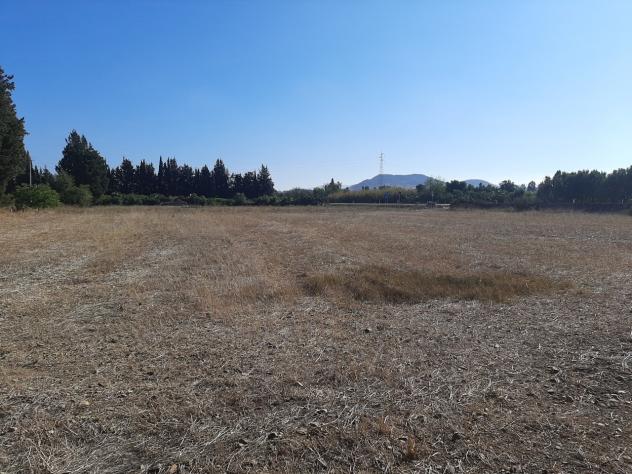 Agricolo in vendita a Monastir - Foto 3