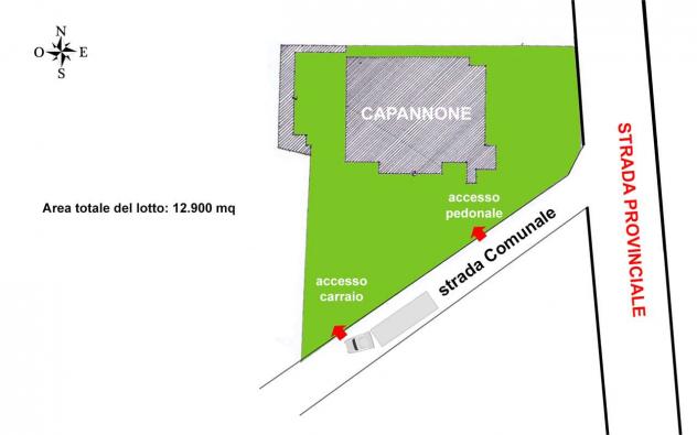 1608 - Capannone 2800 mq Trevignano (TV) Rif. 1608 - Foto 5