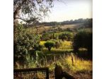 Il Borghetto di Amelia