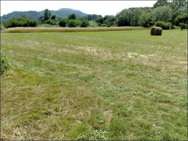 Terreno agricolo in vendita a Sarzana 5000 mq Rif: 1123247 - Foto 2