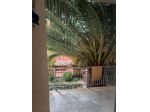 Appartamento in vendita a Pisa 225 mq  Rif: 1393899