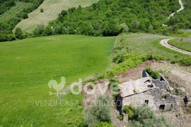 Rustico / Casale di 2300 m² con più di 5 locali in vendita a Pienza - Foto 8