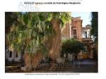 IMMOBILI-IMMOBILE COMMERCIALE-Viale Regina Margherita, 12/14, 95125 Catania …