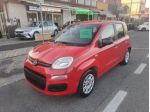 FIAT Panda 1.2 GPL 69cv - UNIPRO TAGLIANDATA rif. 23695270