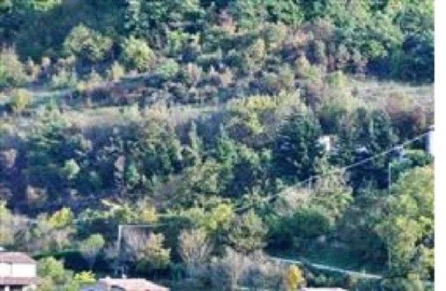 Immobile in asta di 990 m² in vendita a Apecchio - Foto 15
