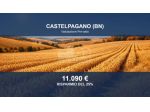 Immobile in asta di 63744 m² in vendita a Castelpagano