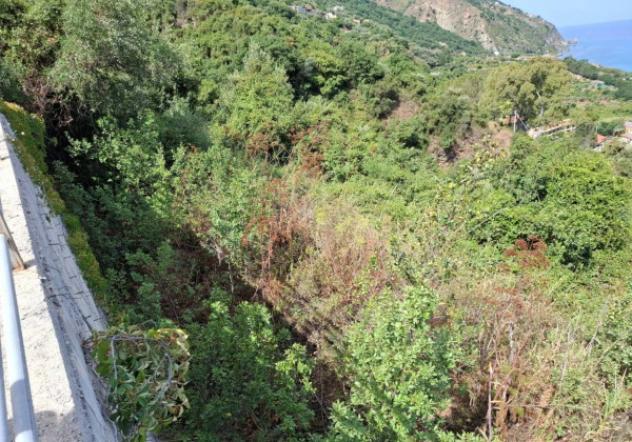 Immobile in asta di 5431 m² in vendita a Piraino - Foto 2