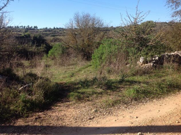 Seminativo in vendita a Siracusa - Foto 2