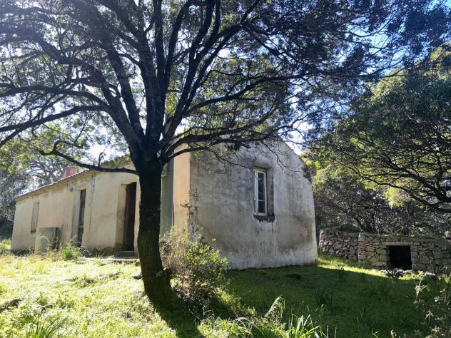 Casale in vendita a Luogosanto 78 mq Rif: 1383998 - Foto 3