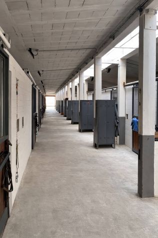 Complesso immobiliare adibito ad Azienda Agricola con Centro Ippico - Foto 4
