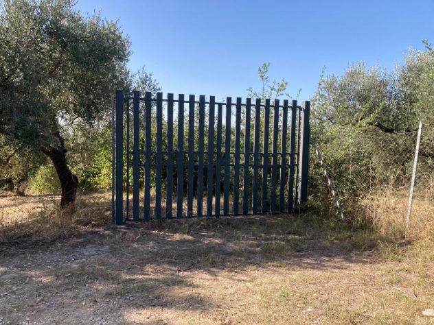 Terreno Agricolo a Guidonia Montecelio (RM) - Foto 3