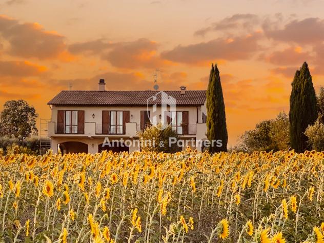 Casale in vendita a Montecastrilli
