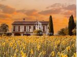 Casale in vendita a Montecastrilli