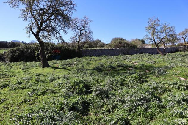 Terreno in vendita a Ragusa, Bruscé - Foto 4