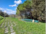 Casa singola in vendita a San Miniato 220 mq  Rif: 1322456