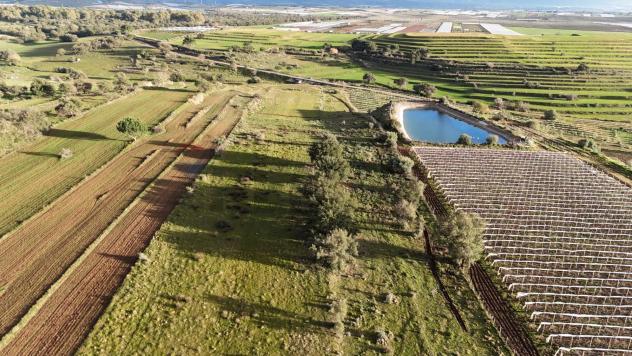 Terreno in vendita a Caltagirone - Foto 4