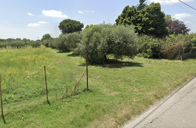 TERRENO CON ULIVI IN VENDITA A CIVITA CASTELLANA