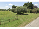 TERRENO CON ULIVI IN VENDITA A CIVITA CASTELLANA