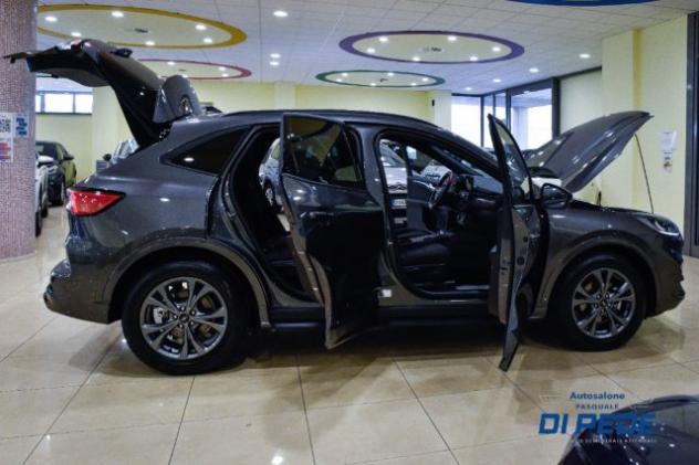 FORD Kuga 1.5 EcoBlue 120 CV 2WD ST-Line rif. 22768427 - Foto 8