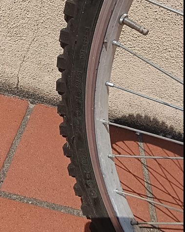 MONTAIN BIKE VICINI DA RAGAZZA 24 Pollici Cambio SHIMANO - Foto 6