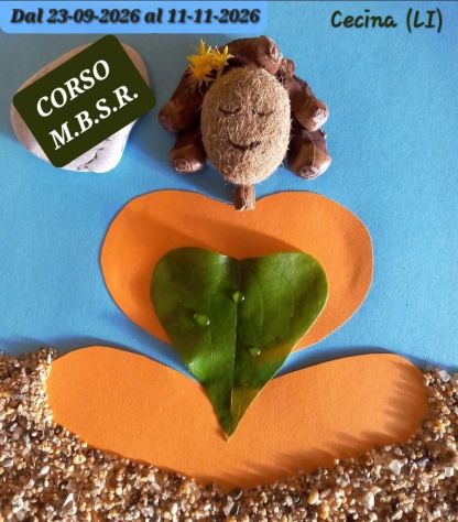 CORSO DI MEDITAZIONE/MINDFULNESS M.B.S.R. - Foto 4 Tel:3393819332