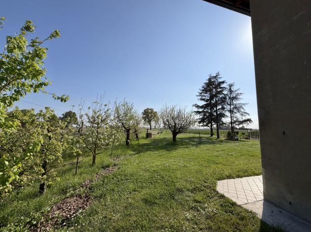 Rustico in vendita a Budrio - Foto 5