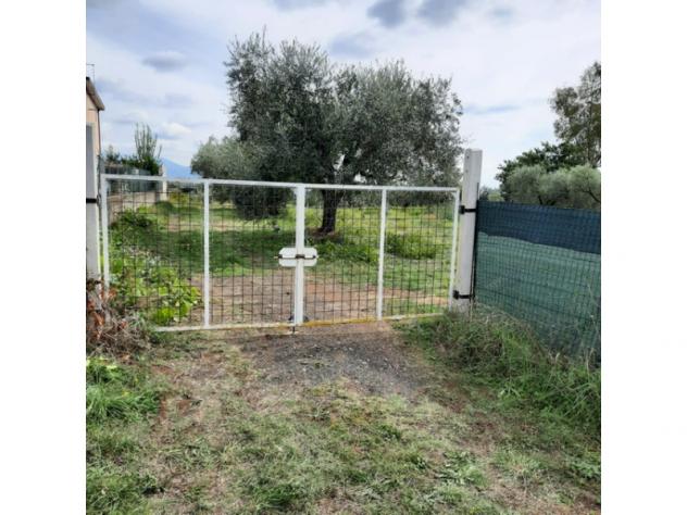 Agricolo in Secondo Stradone Muti - Foto 8
