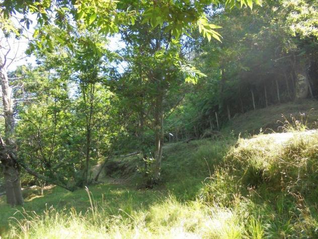 Rustico in vendita a Massa 30 mq Rif: 827331 - Foto 4