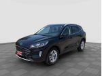 FORD Kuga Kuga 1.5 EcoBoost 150 CV 2WD Titanium rif. 24092666