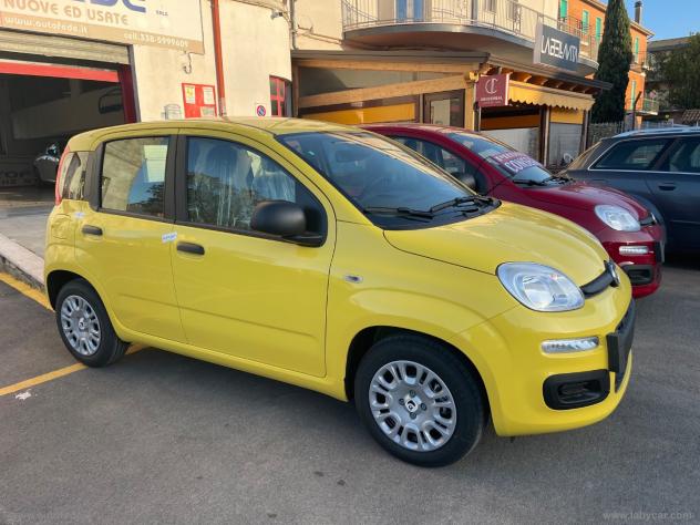 FIAT Panda 1.0 FireFly S&S Hybrid Pandina - Foto 8
