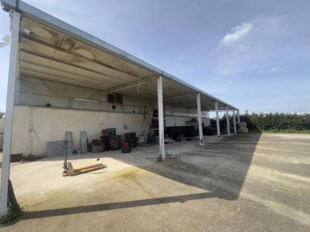 Immobile in asta di 2260 m² in vendita a Trani - Foto 3