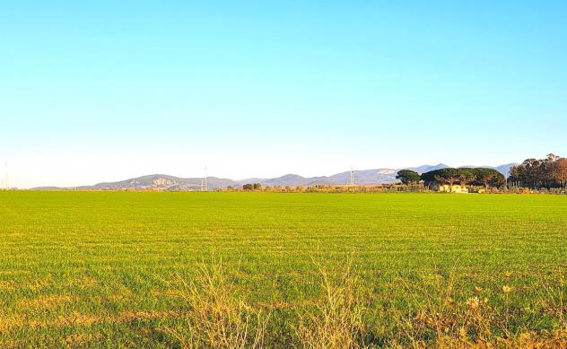 Industriale in vendita a Tarquinia