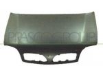 COFANO ANT. DS0073100 Carrozzeria  Lamierati esterni  Cofano  Cofano ant. N &hellip;