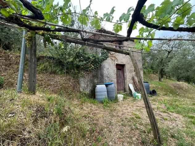 Agricolo in vendita a Arcola - Foto 7