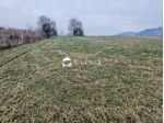 TERRENO AGRICOLO di 1500 mq (MUSSOLENTE) rif. BL060