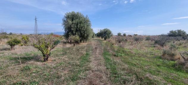 Terreno in vendita a Paternò - Foto 14