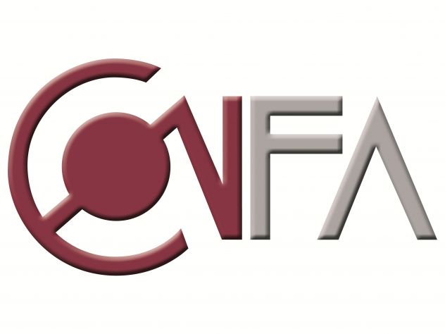 FALEGNAME QUALIFICATO
