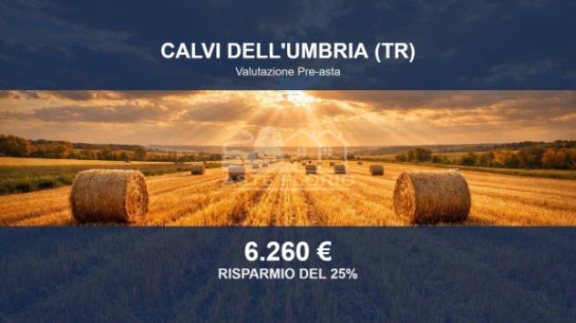 Immobile in asta di 10637 m² in vendita a Calvi dell'Umbria