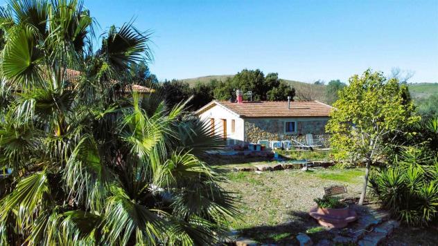 Tenuta complesso in Vendita in zona RIBOLLA - Foto 8