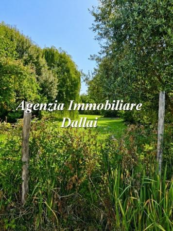 Scarperia (pressi) - Splendida colonica con giardino e terreno - Foto 3