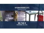 Immobile in asta di 123 m² in vendita a Vitorchiano