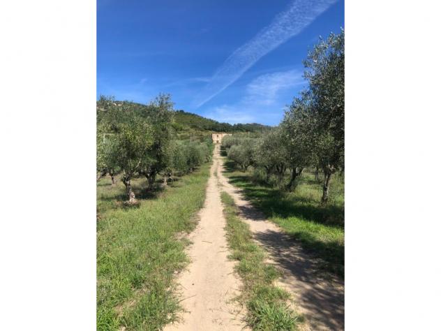 Agricolo in Via Frascinelle - Foto 7